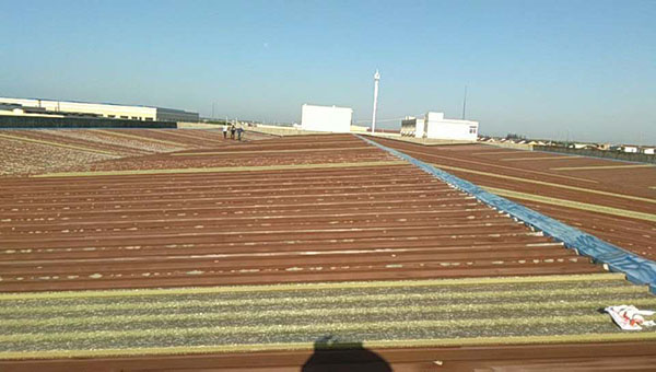 彩鋼瓦翻新噴漆大概多少錢一平方？